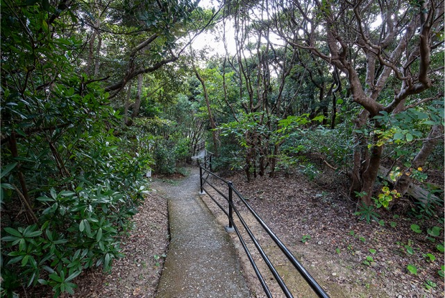 遊歩道（狼煙山遊園）