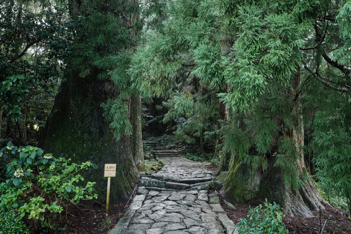 世界自然遺産熊野古道・大門坂〜那智の滝へ