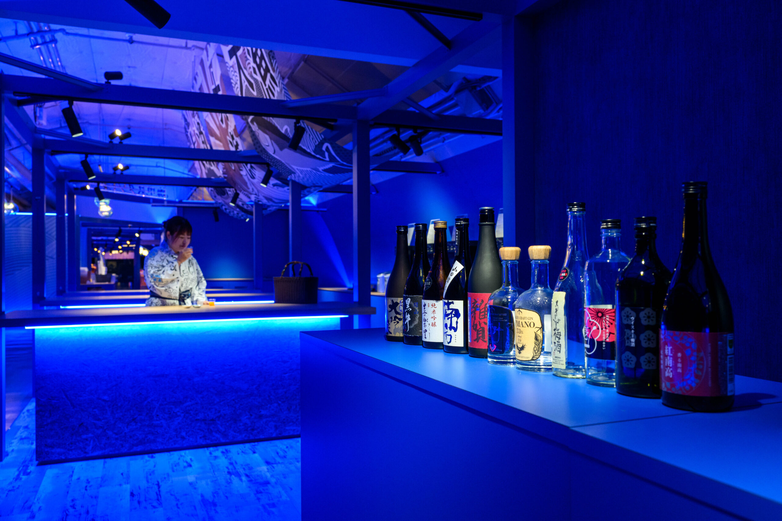 海中スタンドバーでは、地元の日本酒や梅酒、みかんジュースの飲み比べや、おつまみクレーンゲームもあります。